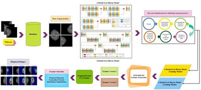 A novel fusion framework of deep bottleneck residual convolutional neural network for breast cancer classification from mammogram images